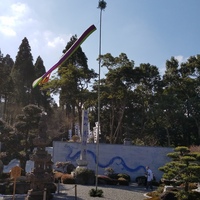 20190202_120942.jpg